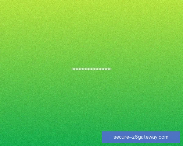 兄弟加速器助力网络畅通提升体验打造高效稳定的网络环境